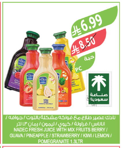 Apple Guava Pineapple Strawberry Kiwi Lemon Pomegranate available at Farm  in KSA, Saudi Arabia, Saudi - Sakaka