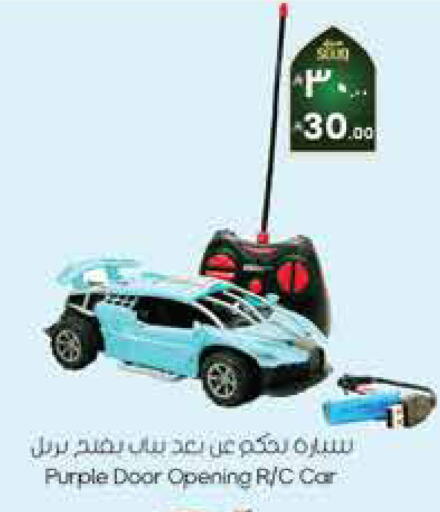 available at City Flower in KSA, Saudi Arabia, Saudi - Sakaka