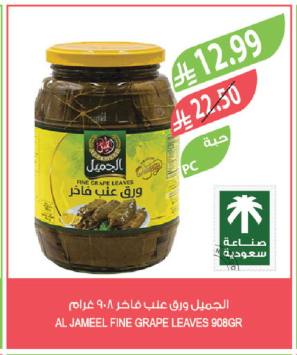 available at المزرعة in مملكة العربية السعودية, السعودية, سعودية - تبوك