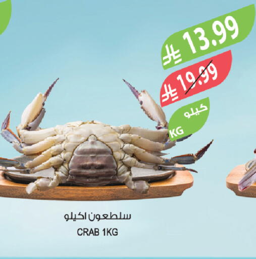 available at Farm  in KSA, Saudi Arabia, Saudi - Tabuk