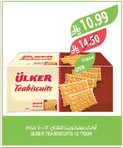 available at المزرعة in مملكة العربية السعودية, السعودية, سعودية - تبوك