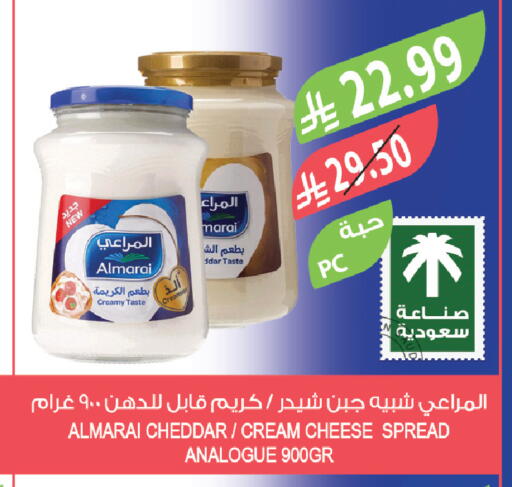 available at المزرعة in مملكة العربية السعودية, السعودية, سعودية - تبوك
