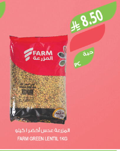 available at Farm  in KSA, Saudi Arabia, Saudi - Al-Kharj