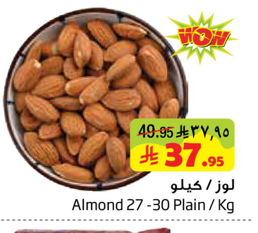 available at Layan Hyper in KSA, Saudi Arabia, Saudi - Al Khobar