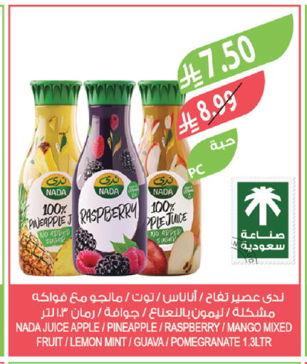 Pineapple Raspberry Apple Mango Lemon Guava Pomegranate Mint available at المزرعة in مملكة العربية السعودية, السعودية, سعودية - تبوك