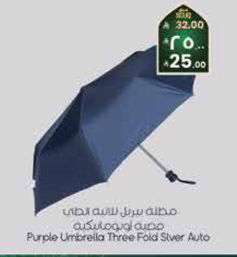 available at City Flower in KSA, Saudi Arabia, Saudi - Sakaka