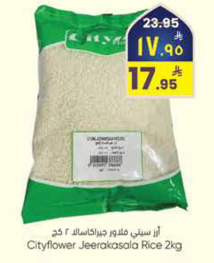 available at City Flower in KSA, Saudi Arabia, Saudi - Sakaka