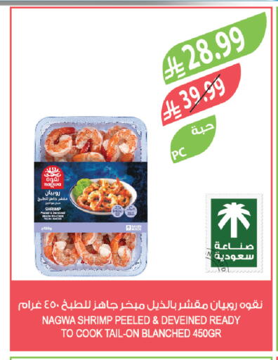 available at المزرعة in مملكة العربية السعودية, السعودية, سعودية - تبوك