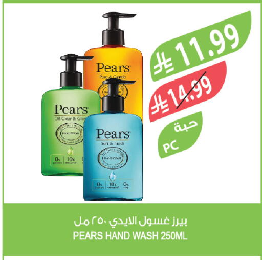 available at المزرعة in مملكة العربية السعودية, السعودية, سعودية - تبوك