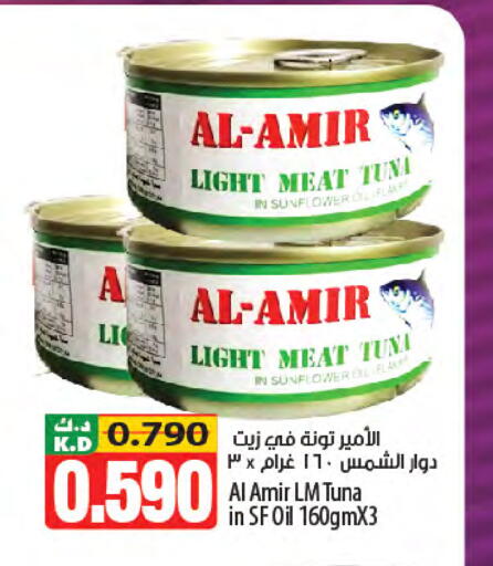 Mango available at مانجو هايبرماركت in الكويت - محافظة الأحمدي