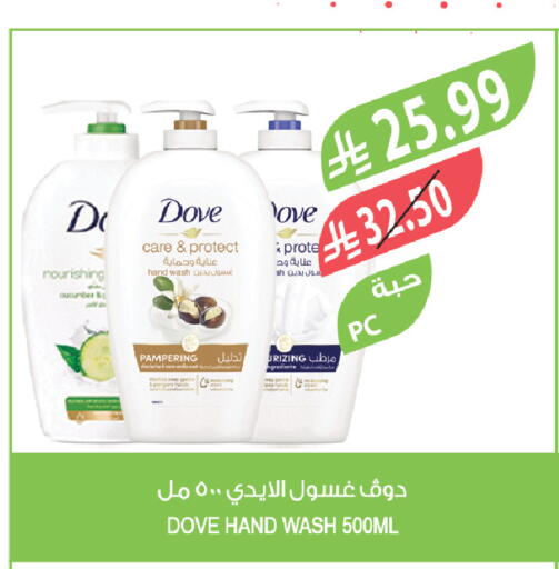 Cucumber available at المزرعة in مملكة العربية السعودية, السعودية, سعودية - تبوك