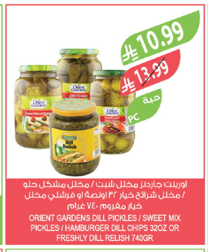 Dill available at Farm  in KSA, Saudi Arabia, Saudi - Tabuk