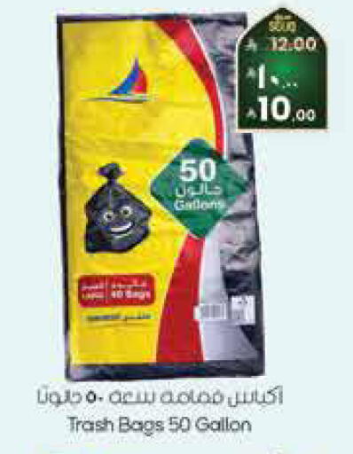 available at City Flower in KSA, Saudi Arabia, Saudi - Hafar Al Batin