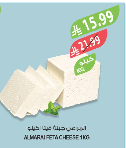 available at المزرعة in مملكة العربية السعودية, السعودية, سعودية - تبوك