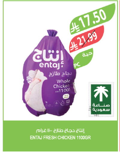 available at المزرعة in مملكة العربية السعودية, السعودية, سعودية - تبوك