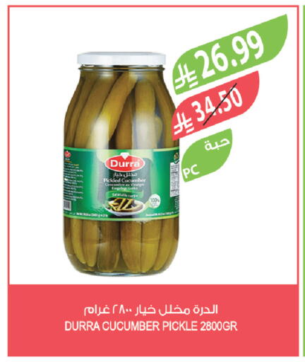 Cucumber available at المزرعة in مملكة العربية السعودية, السعودية, سعودية - تبوك