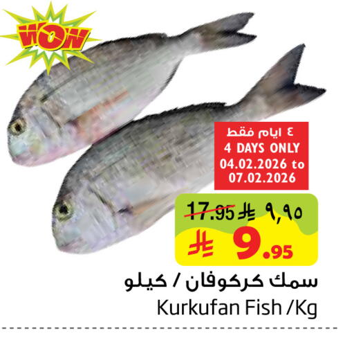 available at Layan Hyper in KSA, Saudi Arabia, Saudi - Al Khobar