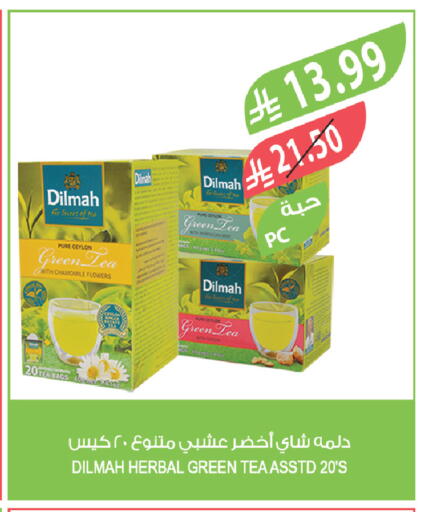 available at Farm  in KSA, Saudi Arabia, Saudi - Sakaka