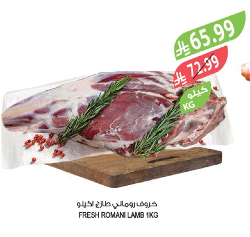 available at المزرعة in مملكة العربية السعودية, السعودية, سعودية - تبوك