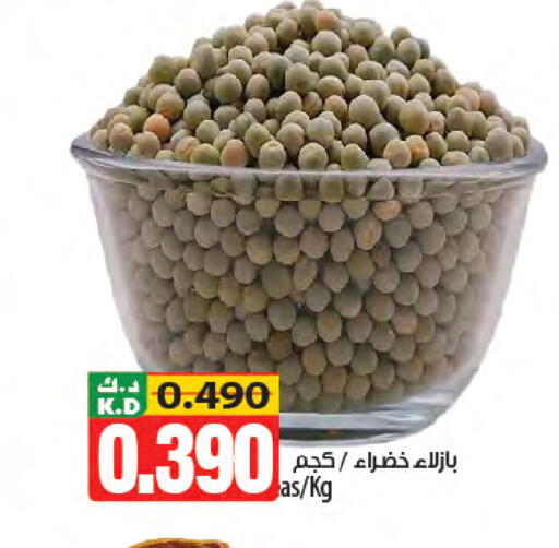 Mango available at مانجو هايبرماركت in الكويت - محافظة الأحمدي