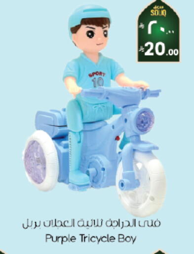 available at City Flower in KSA, Saudi Arabia, Saudi - Al Hasa