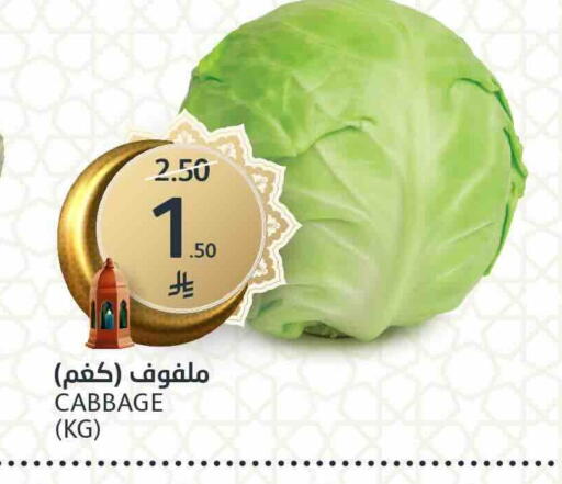 Cabbage available at مركز الجزيرة للتسوق in مملكة العربية السعودية, السعودية, سعودية - الرياض