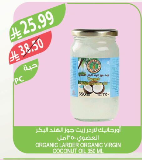 Coconut available at المزرعة in مملكة العربية السعودية, السعودية, سعودية - تبوك