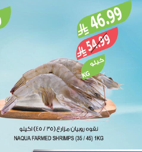 available at Farm  in KSA, Saudi Arabia, Saudi - Tabuk