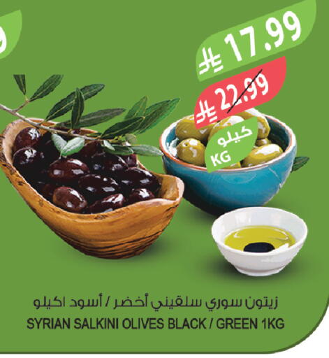 available at المزرعة in مملكة العربية السعودية, السعودية, سعودية - تبوك