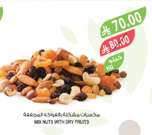 available at المزرعة in مملكة العربية السعودية, السعودية, سعودية - تبوك