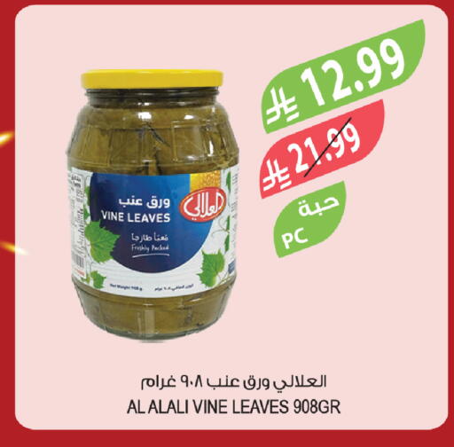 available at المزرعة in مملكة العربية السعودية, السعودية, سعودية - تبوك
