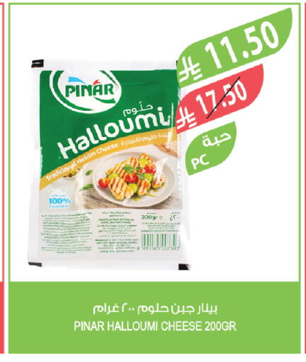 available at Farm  in KSA, Saudi Arabia, Saudi - Tabuk