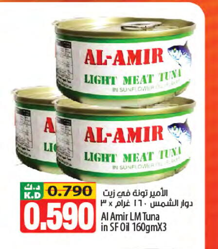 Mango available at مانجو هايبرماركت in الكويت - محافظة الأحمدي