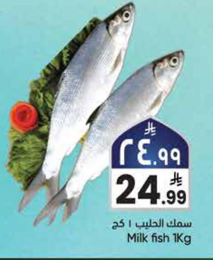 available at City Flower in KSA, Saudi Arabia, Saudi - Sakaka