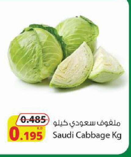 Cabbage from Saudi Arabia available at شركة المنتجات الزراعية الغذائية in الكويت - محافظة الأحمدي