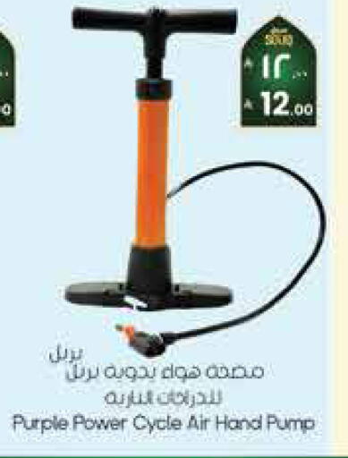 available at City Flower in KSA, Saudi Arabia, Saudi - Sakaka