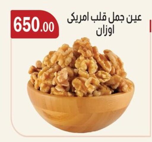 available at ABA market in Egypt - Cairo