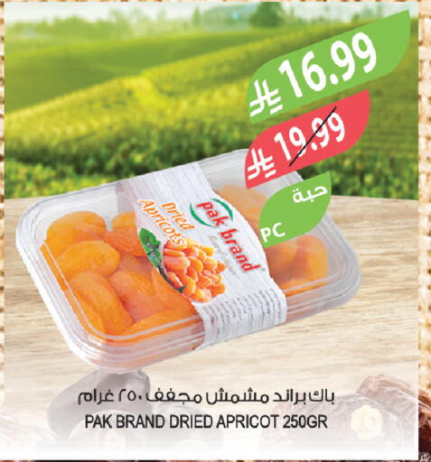 Apricot available at المزرعة in مملكة العربية السعودية, السعودية, سعودية - تبوك