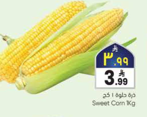 available at City Flower in KSA, Saudi Arabia, Saudi - Sakaka