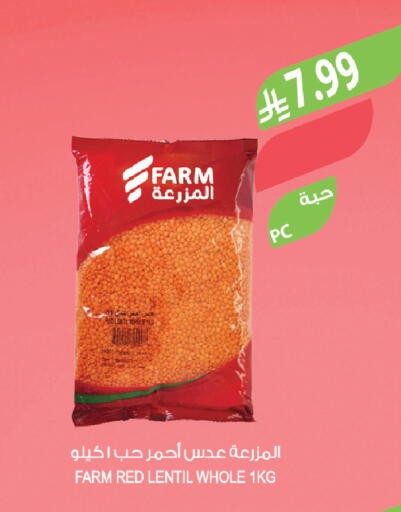 available at Farm  in KSA, Saudi Arabia, Saudi - Al-Kharj
