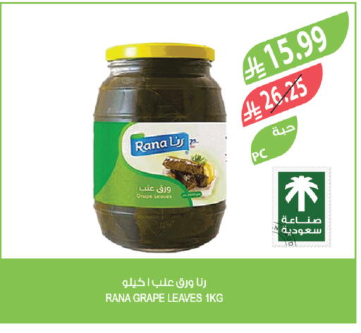 available at Farm  in KSA, Saudi Arabia, Saudi - Sakaka