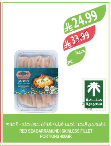 available at المزرعة in مملكة العربية السعودية, السعودية, سعودية - تبوك
