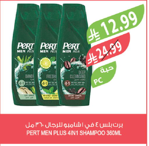 available at المزرعة in مملكة العربية السعودية, السعودية, سعودية - تبوك