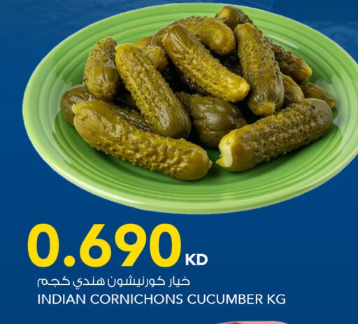 Cucumber from India available at  ALNASSER HYPERMARKET in Kuwait - Ahmadi Governorate