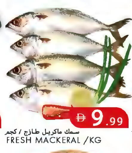 available at  روابي ماركت عجمان in الإمارات العربية المتحدة , الامارات - الشارقة / عجمان