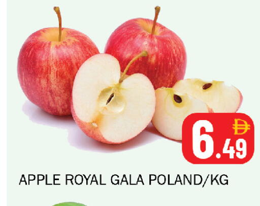 Apple from Poland available at سوق المبارك هايبرماركت in الإمارات العربية المتحدة , الامارات - الشارقة / عجمان