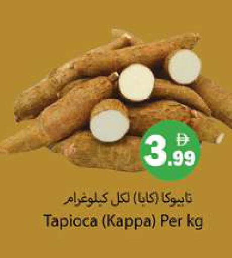 available at جلف هايبرماركت ذ.م.م in الإمارات العربية المتحدة , الامارات - رَأْس ٱلْخَيْمَة