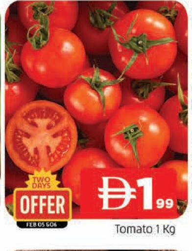 Tomato available at المدينة in الإمارات العربية المتحدة , الامارات - الشارقة / عجمان