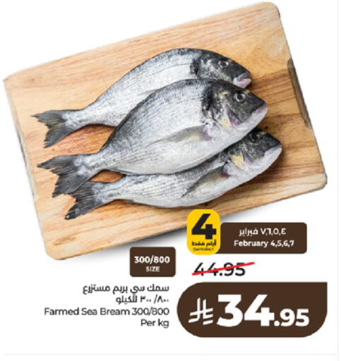 available at لولو هايبرماركت in مملكة العربية السعودية, السعودية, سعودية - تبوك