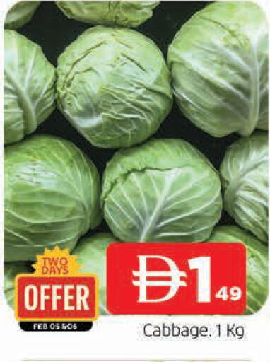 Cabbage available at المدينة in الإمارات العربية المتحدة , الامارات - الشارقة / عجمان